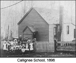 Callignee school
